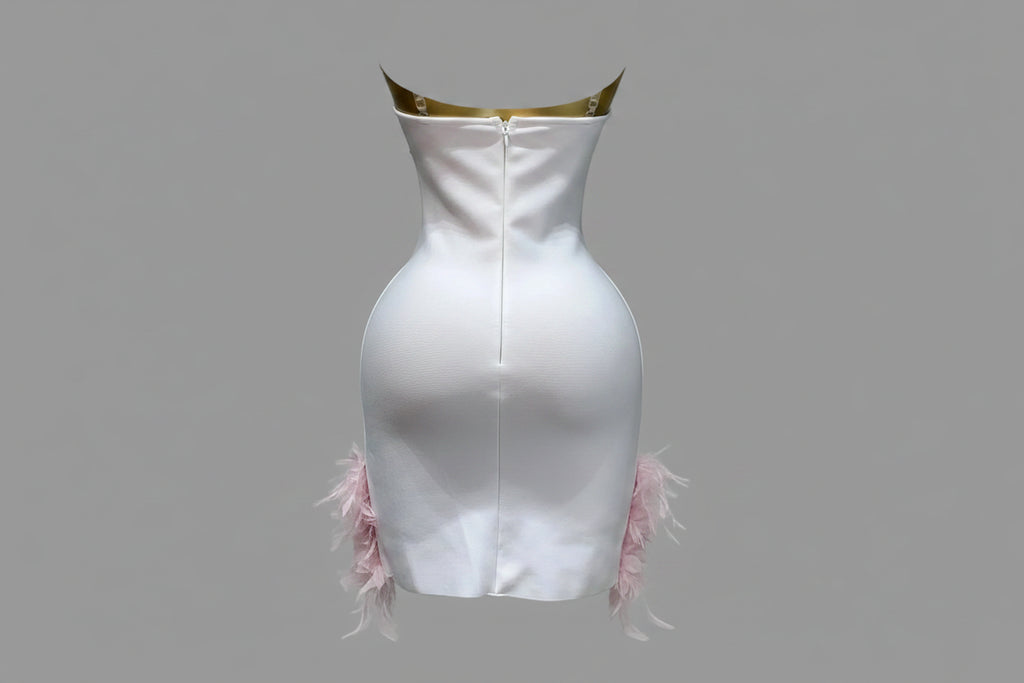 Pearl & Feather Backless Party Dress