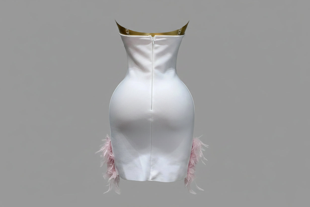 Pearl & Feather Backless Party Dress